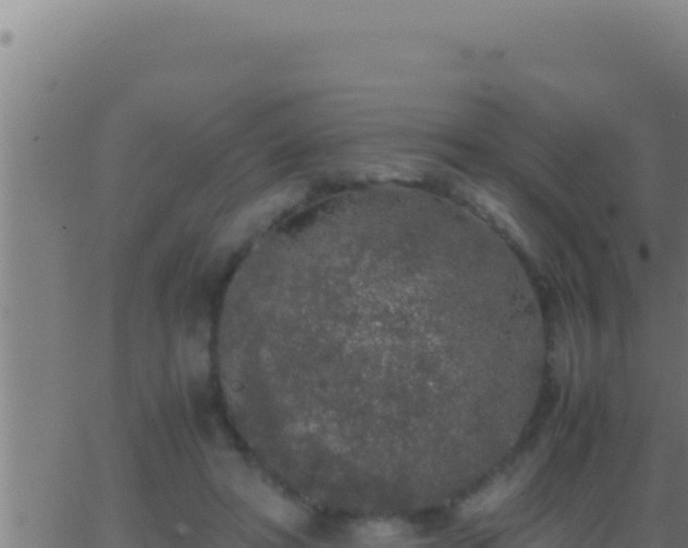 X0000062920402200601202007