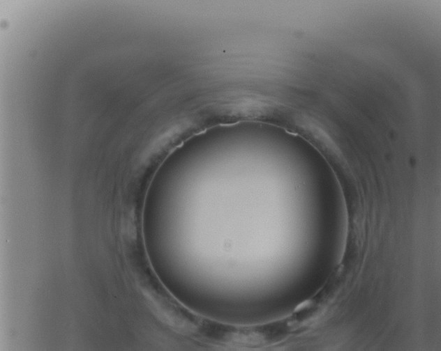 X0000062920403200601202007