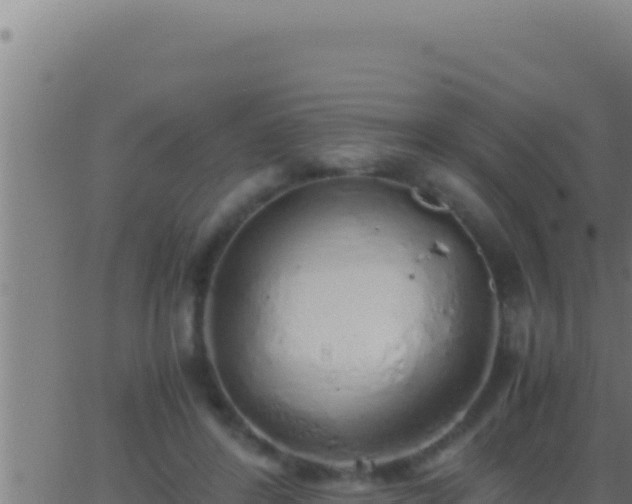 X0000062920404200601202007