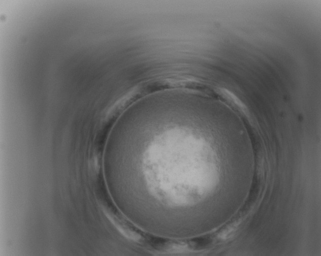 X0000062920405200601202007