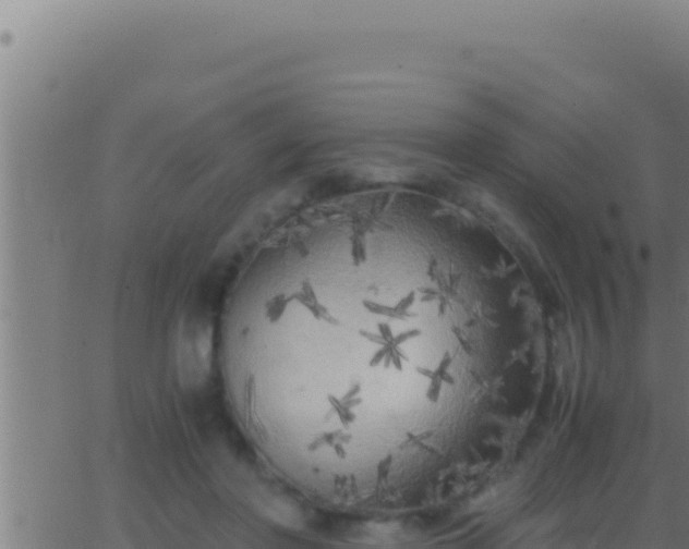 X0000062920406200601202007