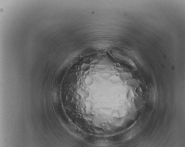 X0000062920408200601202006