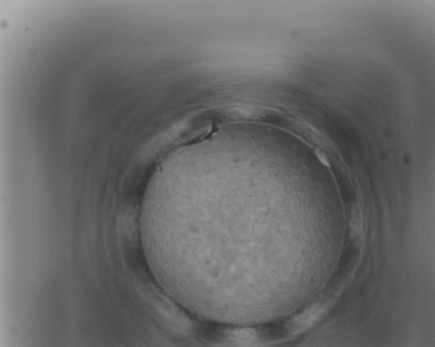 X0000062920409200601202006