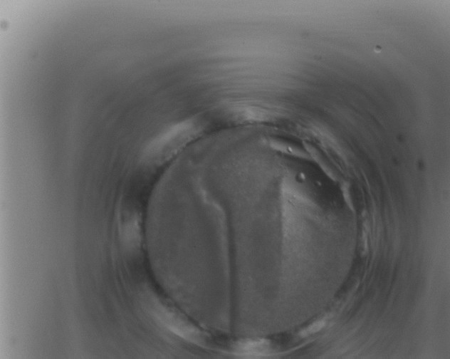 X0000062920410200601202006