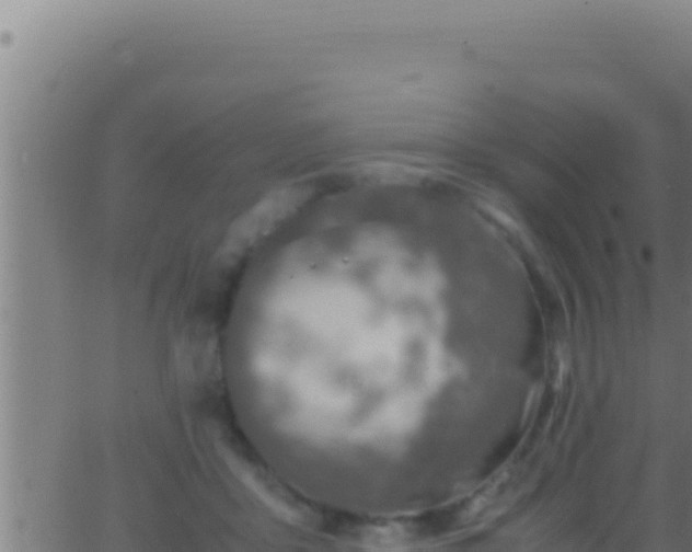 X0000062920411200601202006