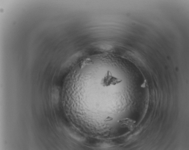 X0000062920412200601202006