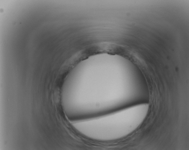 X0000062920413200601202006