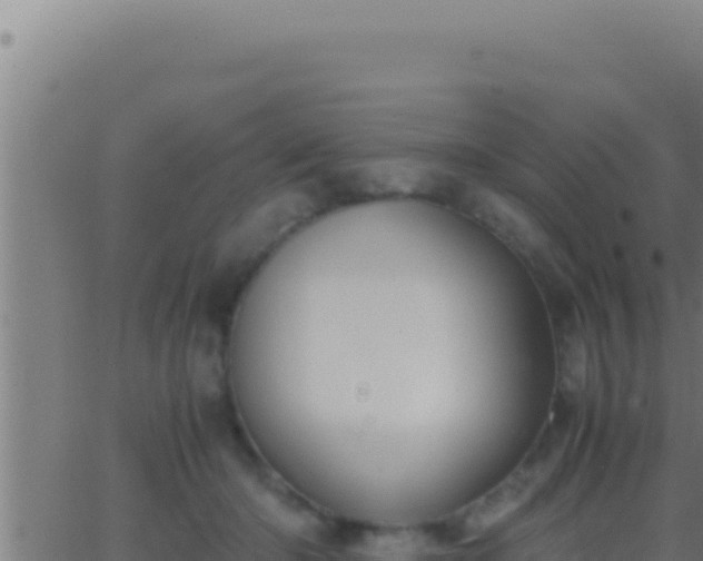 X0000062920414200601202006