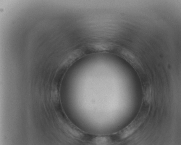 X0000062920418200601202006