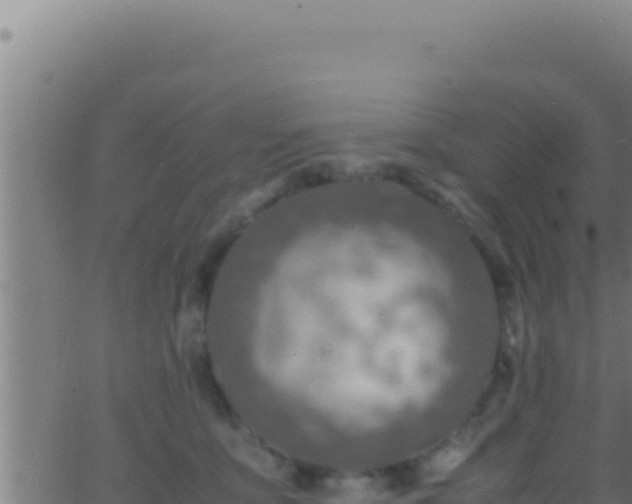 X0000062920419200601202006