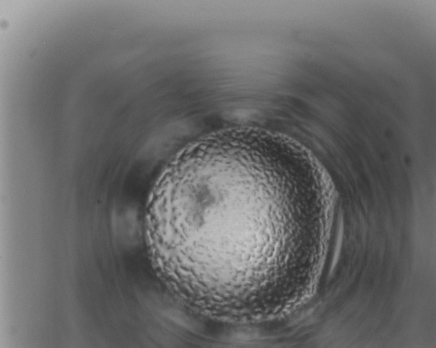 X0000062920420200601202006