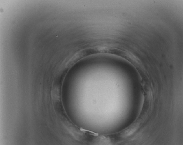 X0000062920421200601202006