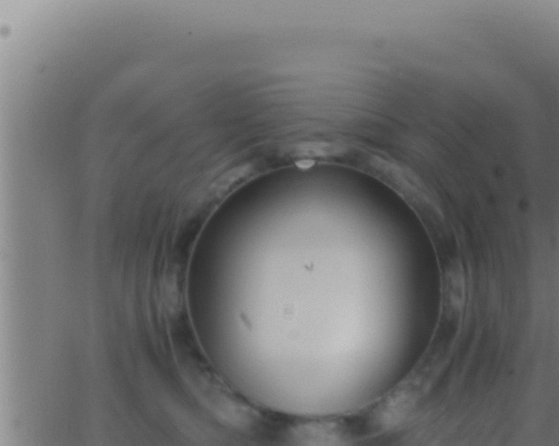 X0000062920422200601202006