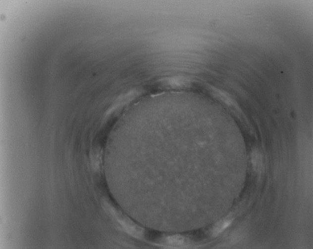 X0000062920423200601202006