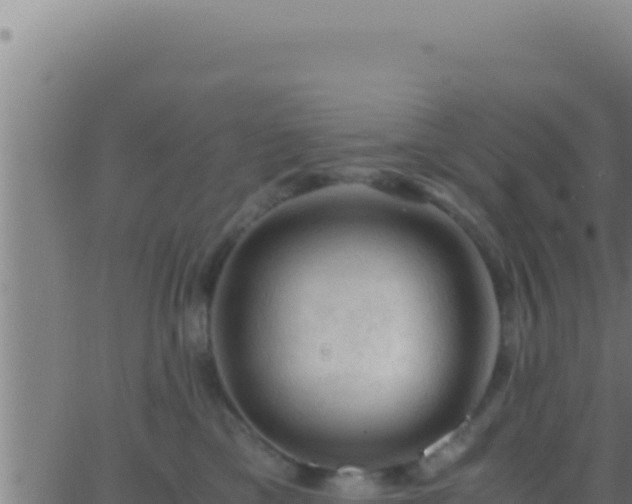 X0000062920425200601202006