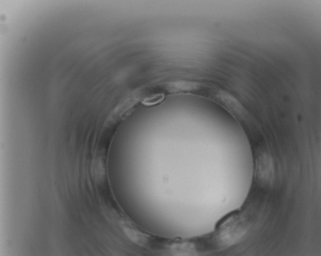 X0000062920426200601202006