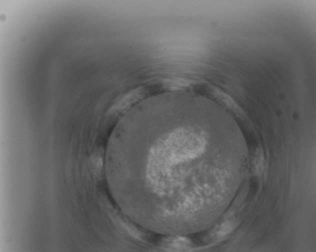 X0000062920427200601202006