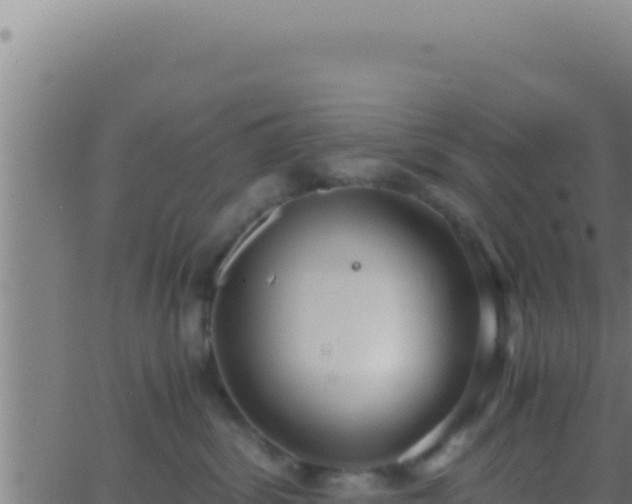 X0000062920428200601202006