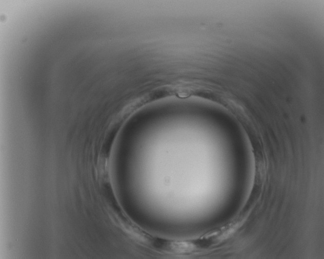 X0000062920429200601202006