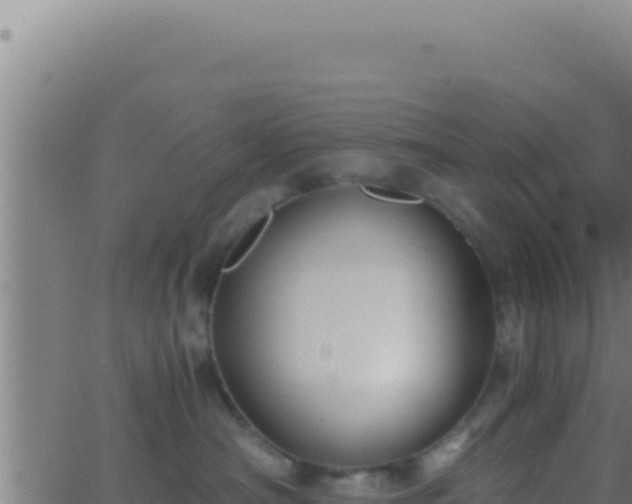 X0000062920430200601202006