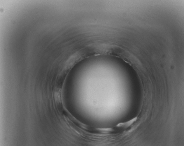 X0000062920432200601202006