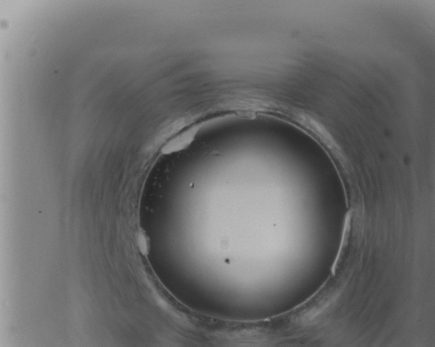 X0000062920433200601202005