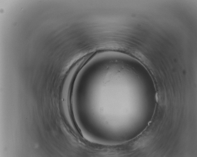 X0000062920434200601202005