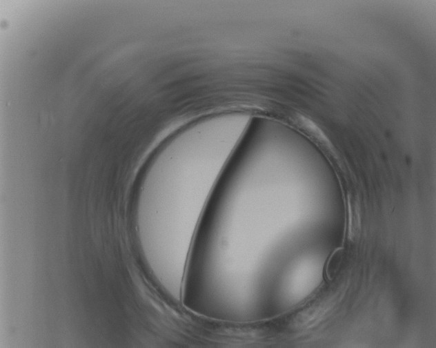 X0000062920435200601202005