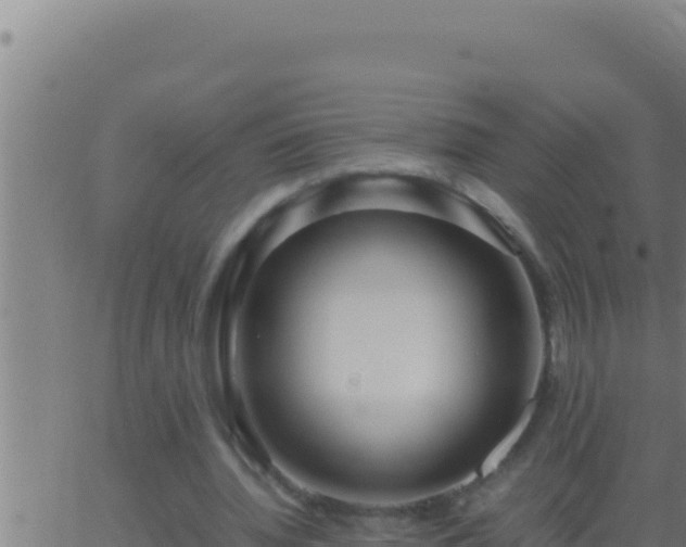 X0000062920436200601202005