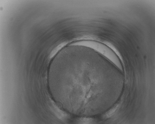 X0000062920437200601202005