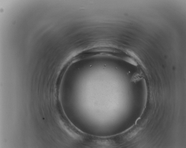 X0000062920439200601202005