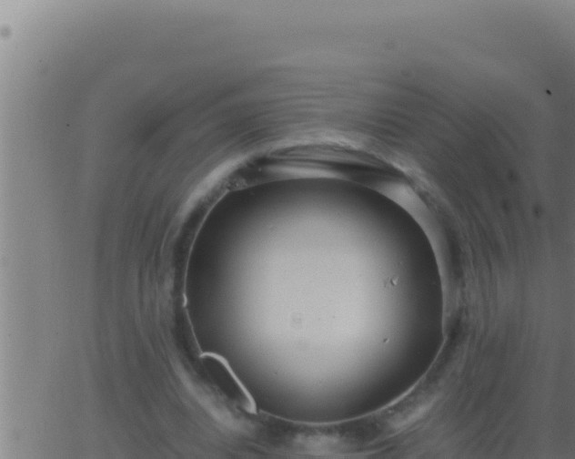 X0000062920440200601202005