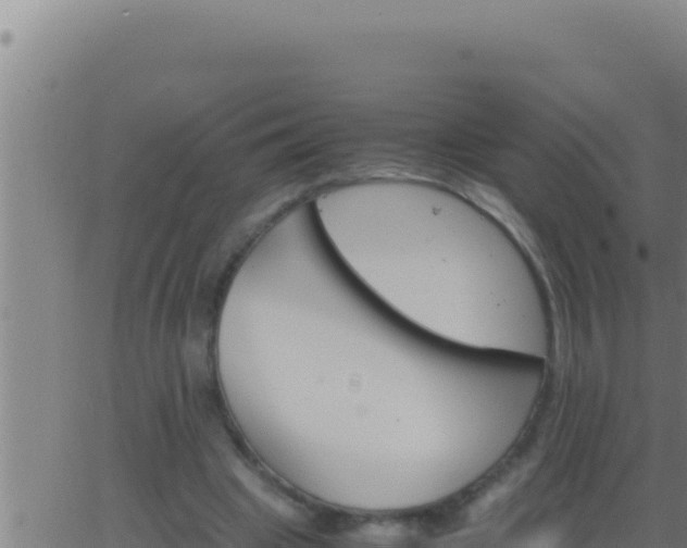 X0000062920441200601202005