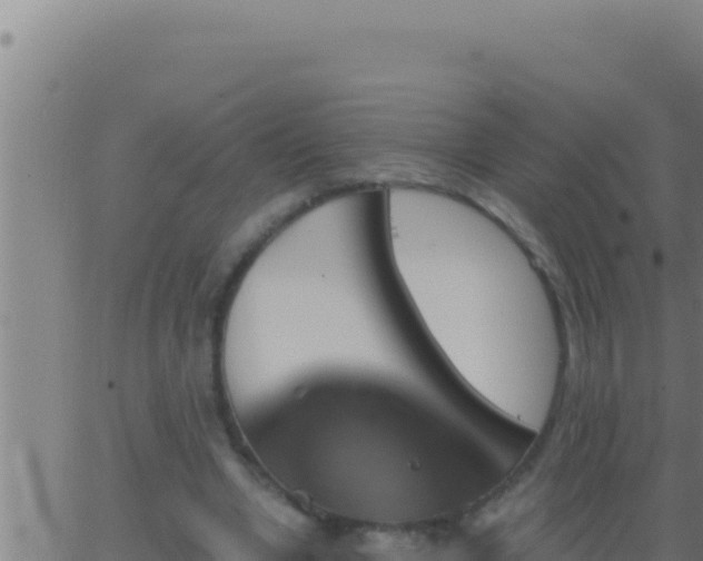 X0000062920442200601202005