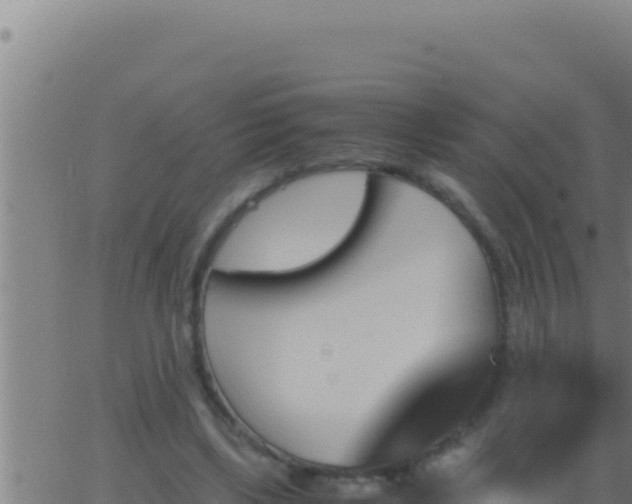 X0000062920443200601202005