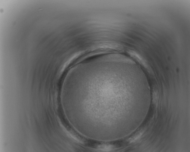 X0000062920444200601202006