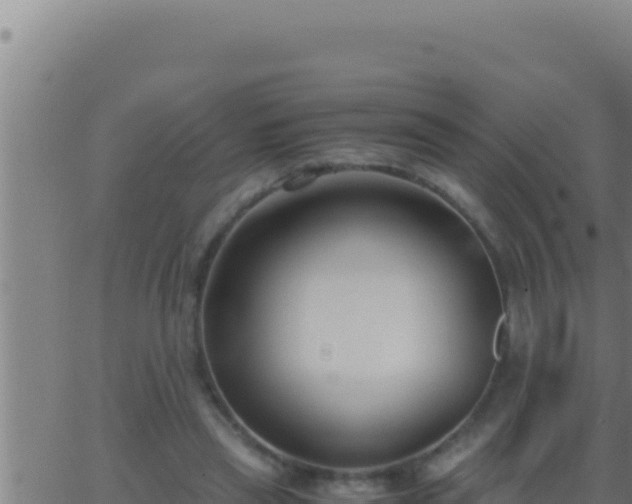 X0000062920445200601202006