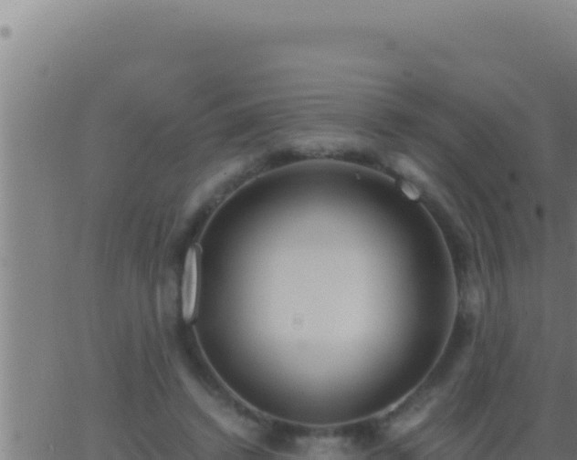 X0000062920448200601202006