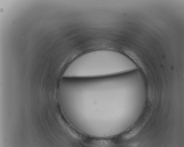 X0000062920449200601202006