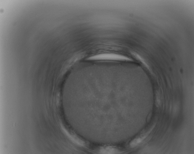 X0000062920451200601202006