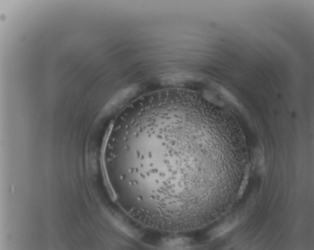 X0000062920452200601202006