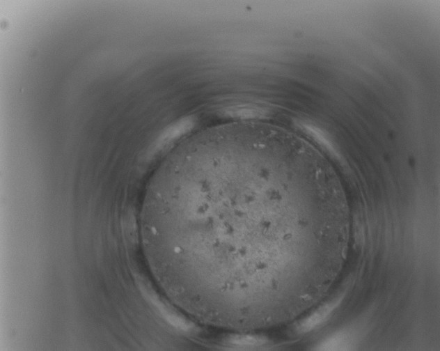 X0000062920453200601202006