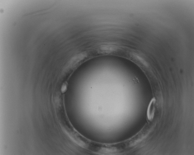 X0000062920455200601202006