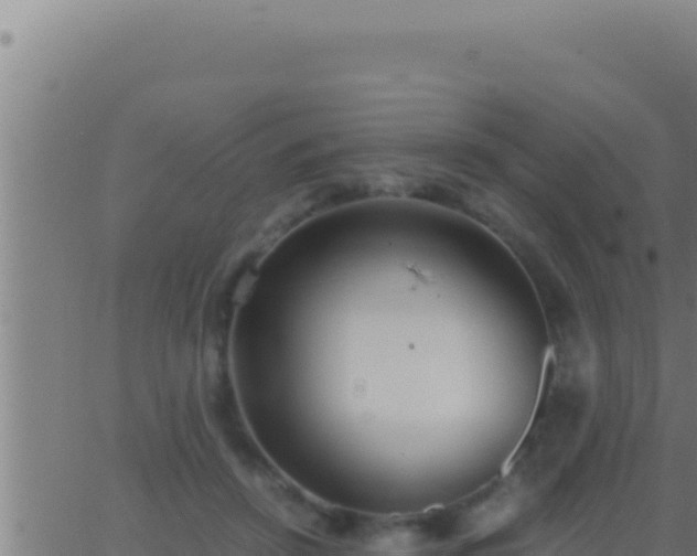 X0000062920456200601202006