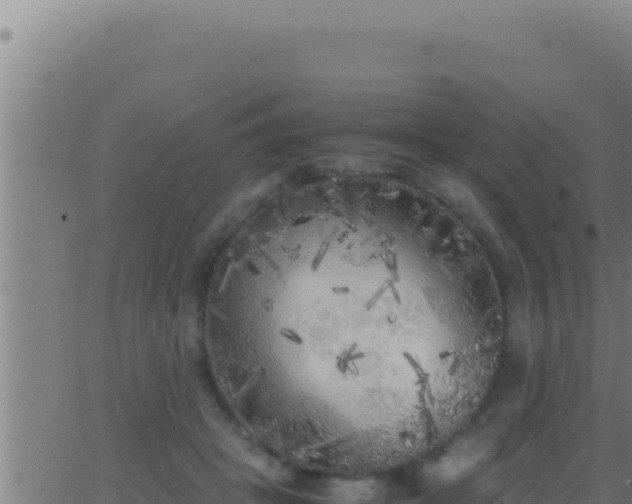 X0000062920457200601202006