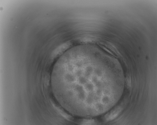 X0000062920458200601202006