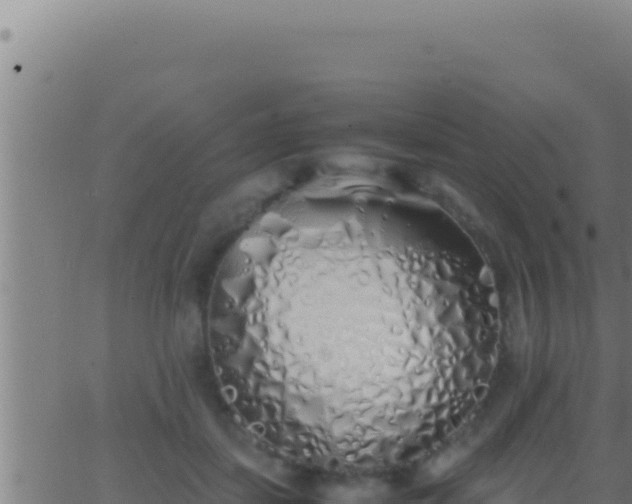 X0000062920459200601202006