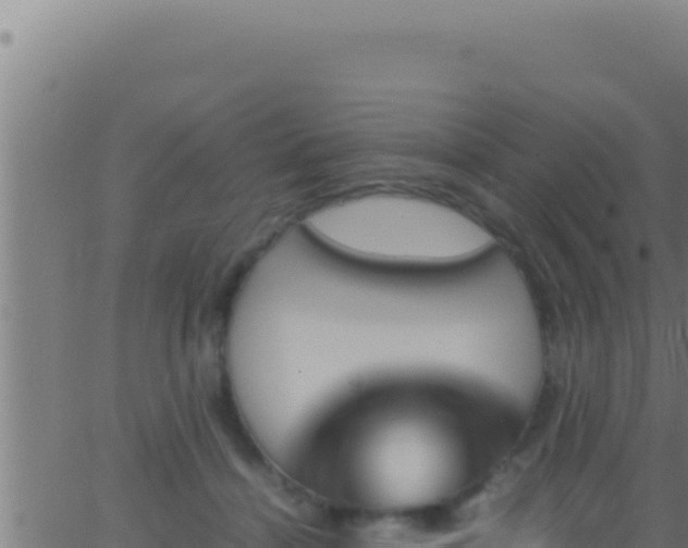 X0000062920460200601202006