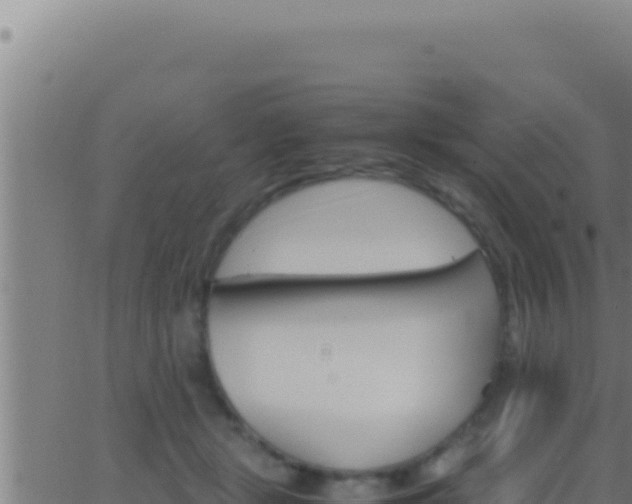 X0000062920461200601202006