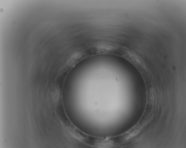 X0000062920463200601202006